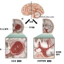 대송한의원 이미지