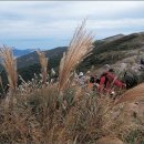 오서산사슴목장 이미지