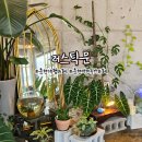 러스틱문 | 춘천남면카페 애견동반가능한 춘천대형카페 러스틱문