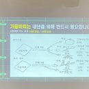 표선면사무소 이미지