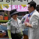 캠프보산카니발행사 이미지