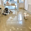 꾸꾸멈머 이미지