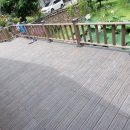 안동화련 이미지