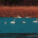 월동소류지 이미지