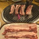 대한노인회제주시지회 | 대한노인회 강원도연합회 임직원 워크숍/2025.11.12.~14.