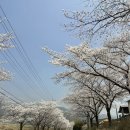 청운유치원 | 하동 여행 코스 8곳. 차와 꽃이 가득했던 1박 2일