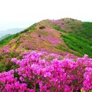 한별프라자 이미지