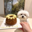 스테이 도랑 이미지