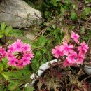 아름다운농장비밀의화원 이미지