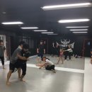 대덕킥복싱MMA 이미지