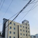강릉 뚜벅이 여행 ㅣ 강릉역이랑 가까운 조식 무료 제공 브라운 도트 호텔