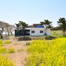 백야태양광발전소 이미지