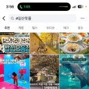 와이앤씨 네이버블로그