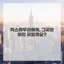 아우라 헤어 이미지