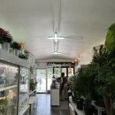 온더고 | 양주 덕계 카페 [온더고 & 여기는 꽃집] 후기 | 꽃향기 가득한 감성카페 • 수제청딸기라떼 추천