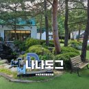 나나애견 | 속초 애견동반 카페 나나도그 넓은 야외정원 강아지 입장료