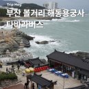 버스정류장 07-216 | 부산 해동용궁사 기장 콜버스 타바라 버스 이용후기 (국립수산과학관 해안도로, 산책길)