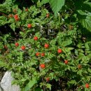 귀선농장 이미지