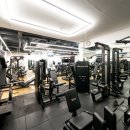 엑스퍼티짐 이미지