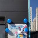 청기와체육교실 이미지