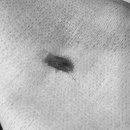 다나은 동물병원 이미지