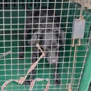 불종거리로-1 이미지