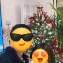 아이트리 | 조명일체형트리 설치후기 루시아이 내돈내산 × 크리스마스 홈파티