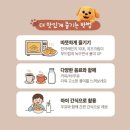 강아지빵 | 우리딸이 반한 강아지빵!! 퍼피케익 치즈, 초코맛 후기!! 귀여움에 간단한 간식으로도 좋아요!!