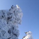 덕산운수 이미지