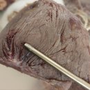 도봉-도봉-서울도봉-2328 이미지