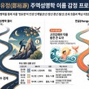 '정유정' 이름 풀이: 한자 및 한글 주역성명학으로 본 4단계 운세 분석 이미지