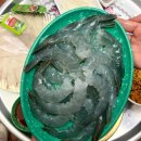 아라포장 | 제주 아라수산 생새우 500g 포장 직접 손질 후기｜제주 회 포장 추천