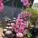 우포2로 이미지