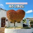 계곡수채화 | 제주 가을 단풍 여행 천아계곡 천왕사 열안지숲길 관음사 핫플 코스