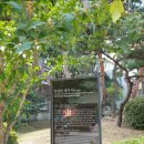 낙성대동-14 이미지