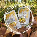 신토불이하일영농조합법인 | 도라지배즙 웰빙나주배농장 효능 알아보기