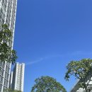 소소로이 이미지