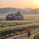 디지털카메라 활용법(기초과정) | 스마트폰 사진 잘 찍는 법, 카메라 기초 사용법과 실전 활용법