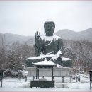 법인자연심