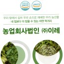 이레식품 이미지