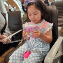 7월 제주도 여행코스 제주도 아침미소목장 아이와 가볼만한곳 추천
