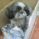 그린편의점 이미지