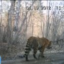 백두산 목장 이미지