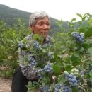 신기가족농장 이미지