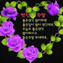 혜미