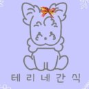 테리네간식 이미지