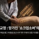 나무와흙한의원 이미지