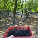 새뜸농장 이미지