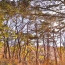 지금가야할 강화도 가볼 만한 곳 4선 이미지