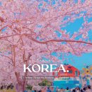 진해구 ⓒ-25 | 2025 전국 벚꽃 개화시기 만개시기 벚꽃축제 벚꽃명소 추천 (서울 석촌호수 제천 청풍호 군항제)